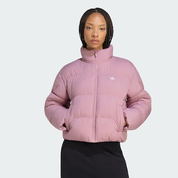 ADIDAS ORIGINALS Zimná bunda - Fialová: predná strana