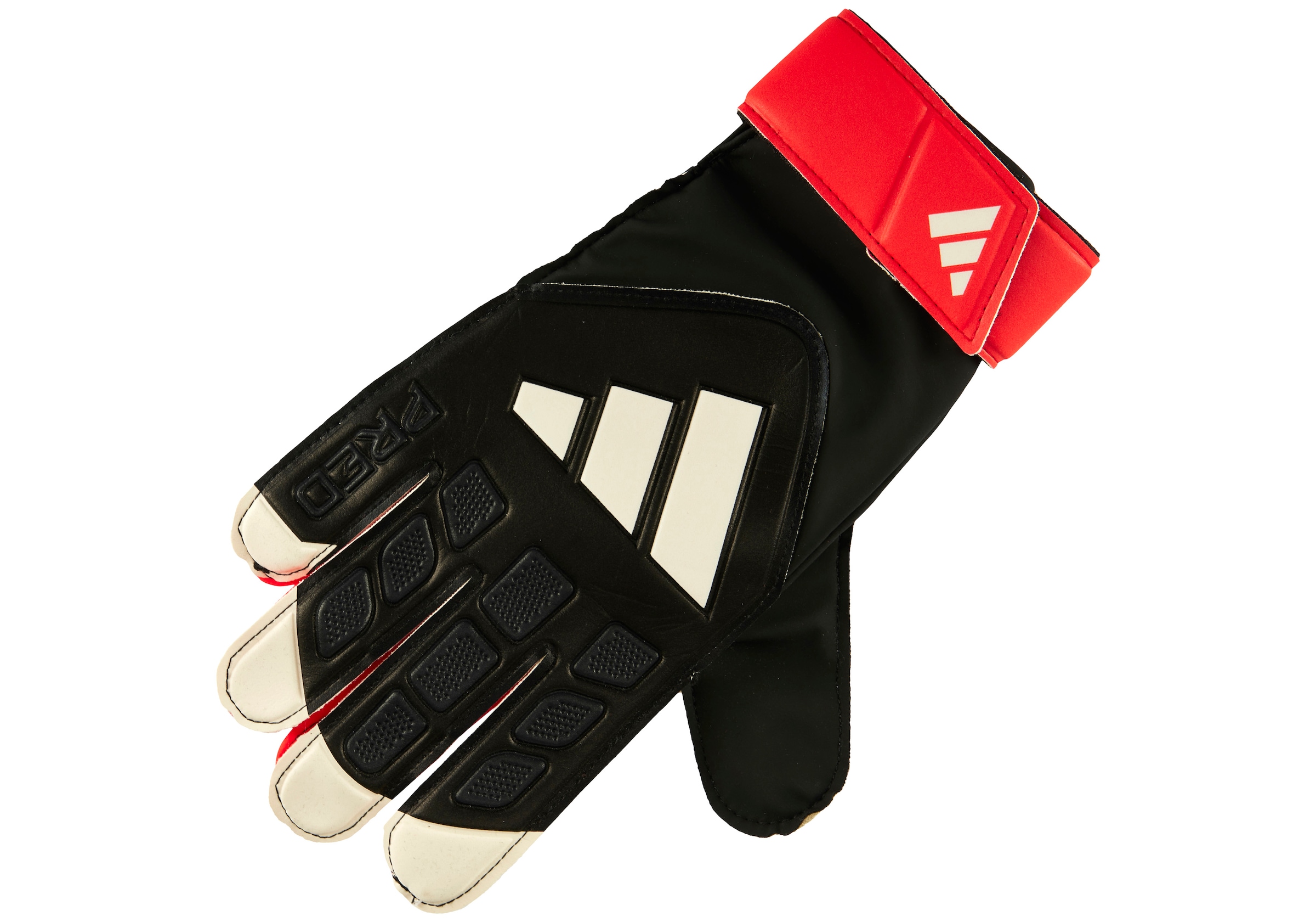 ADIDAS PERFORMANCE Torwarthandschuhe in Schwarz