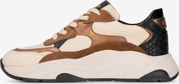 Baskets basses 'Ivy' Haboob en beige : devant