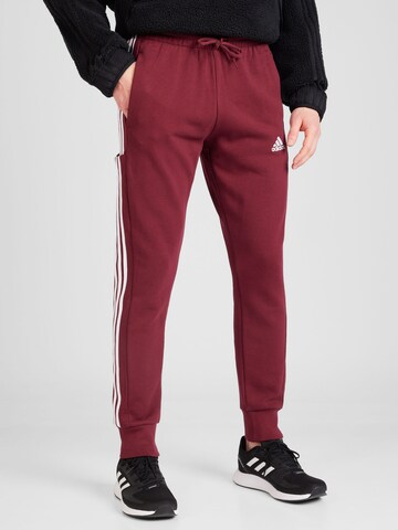 ADIDAS SPORTSWEAR Tapered Urheiluhousut 'Essentials' värissä punainen: edessä