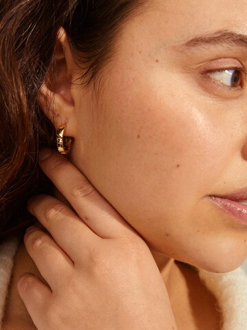 Pilgrim Earrings 'Blink' in Gold