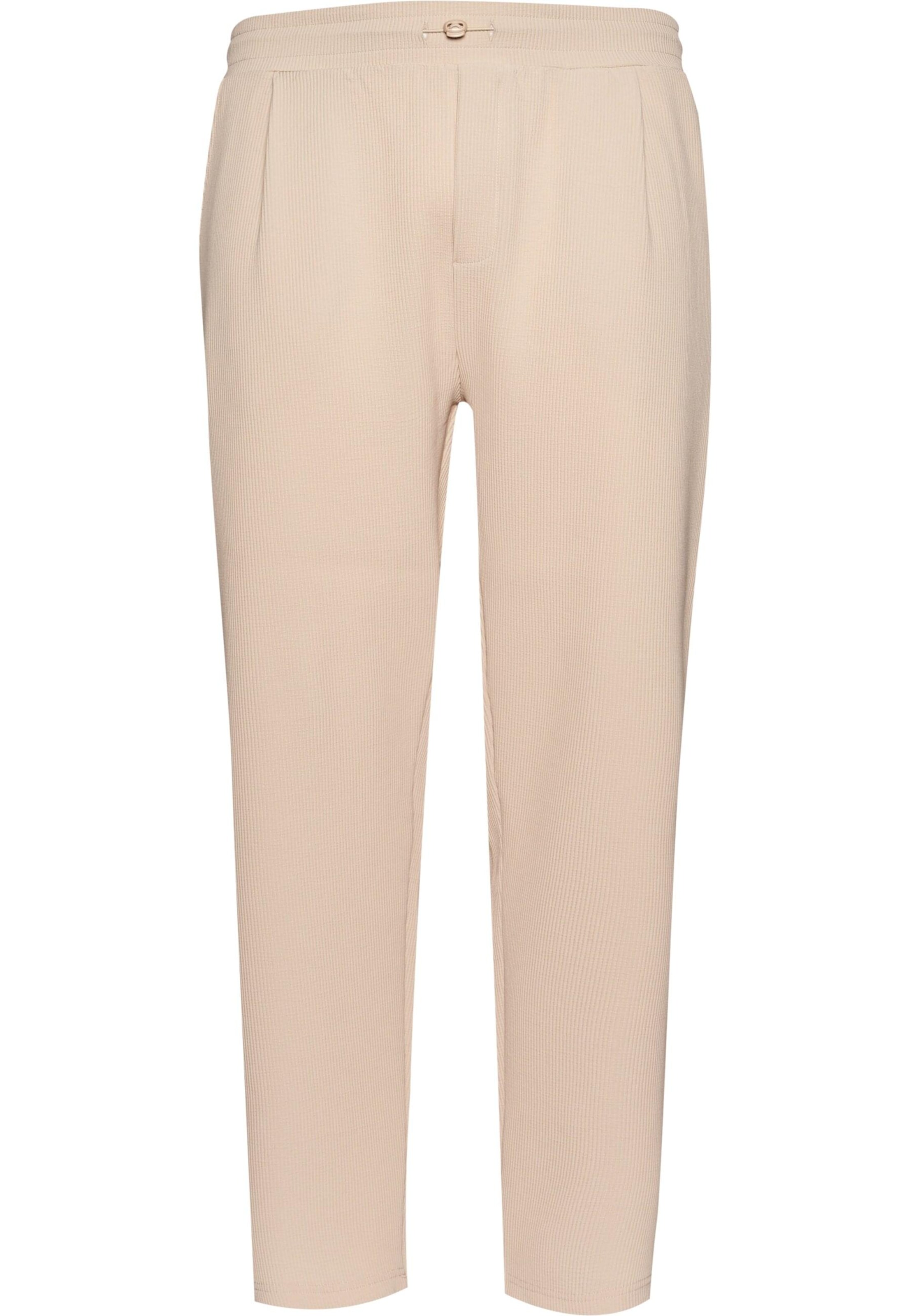 DEF Regular Hose in Beige: Vorderseite