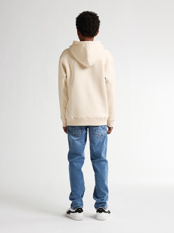 Petrol Industries Sweatshirt 'Redwood' in Beige