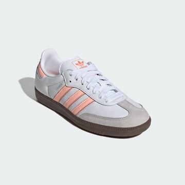 ADIDAS ORIGINALS Σνίκερ χαμηλό 'Samba Og' σε λευκό