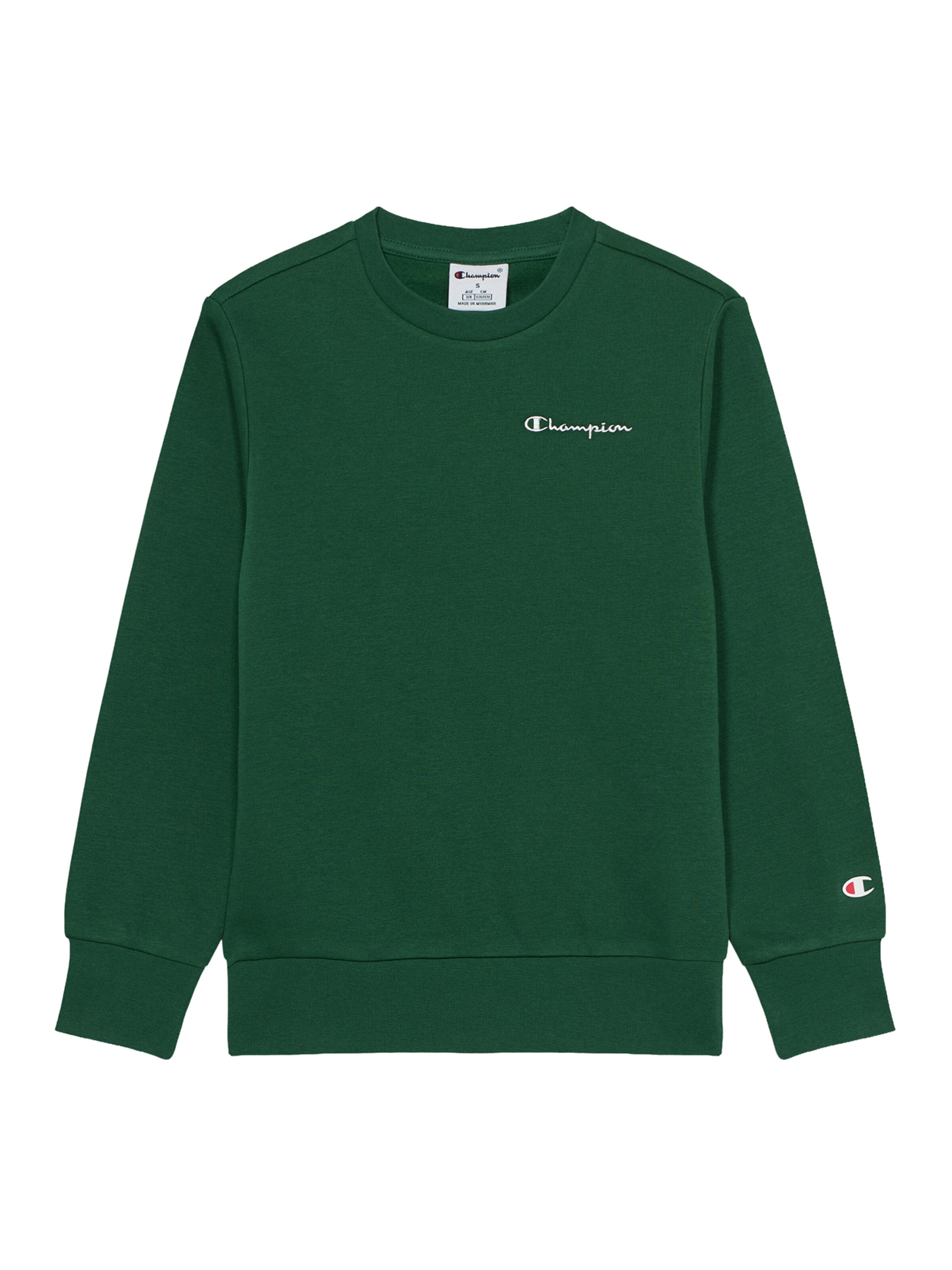 Champion Authentic Athletic Apparel Sweatshirt in Green: front