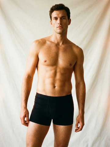 ZUBEK Boxershorts 'Men's Merino Wool Boxer Briefs (Trunks) – 3 Pack' in Zwart