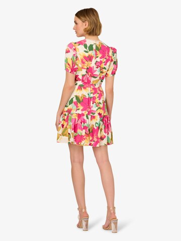 Adrianna Papell Kleid in Pink