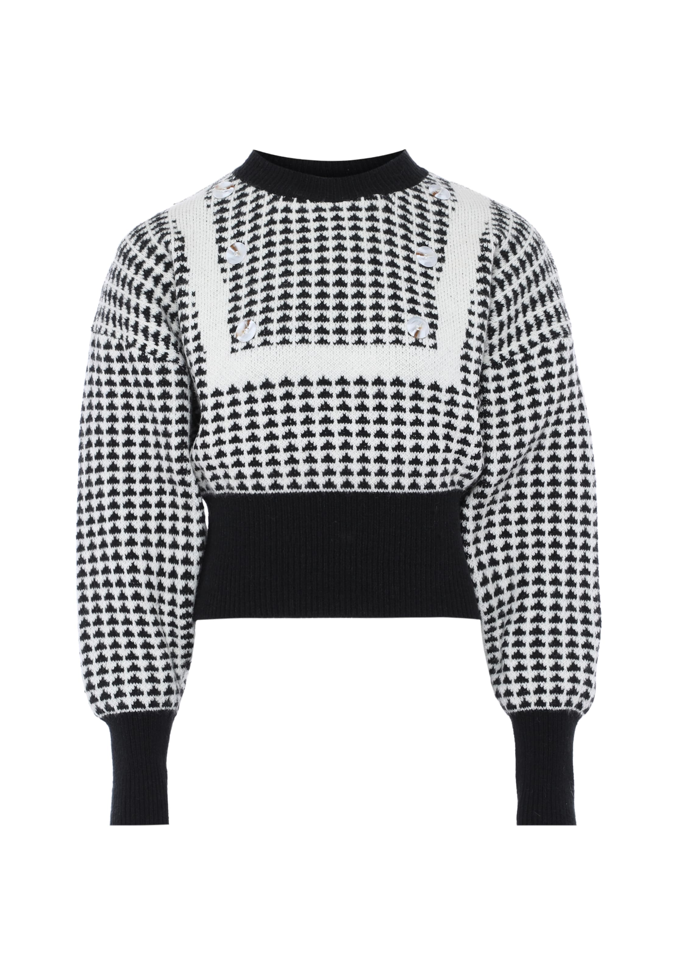 FENIA Свитер в Смешанный: спереди