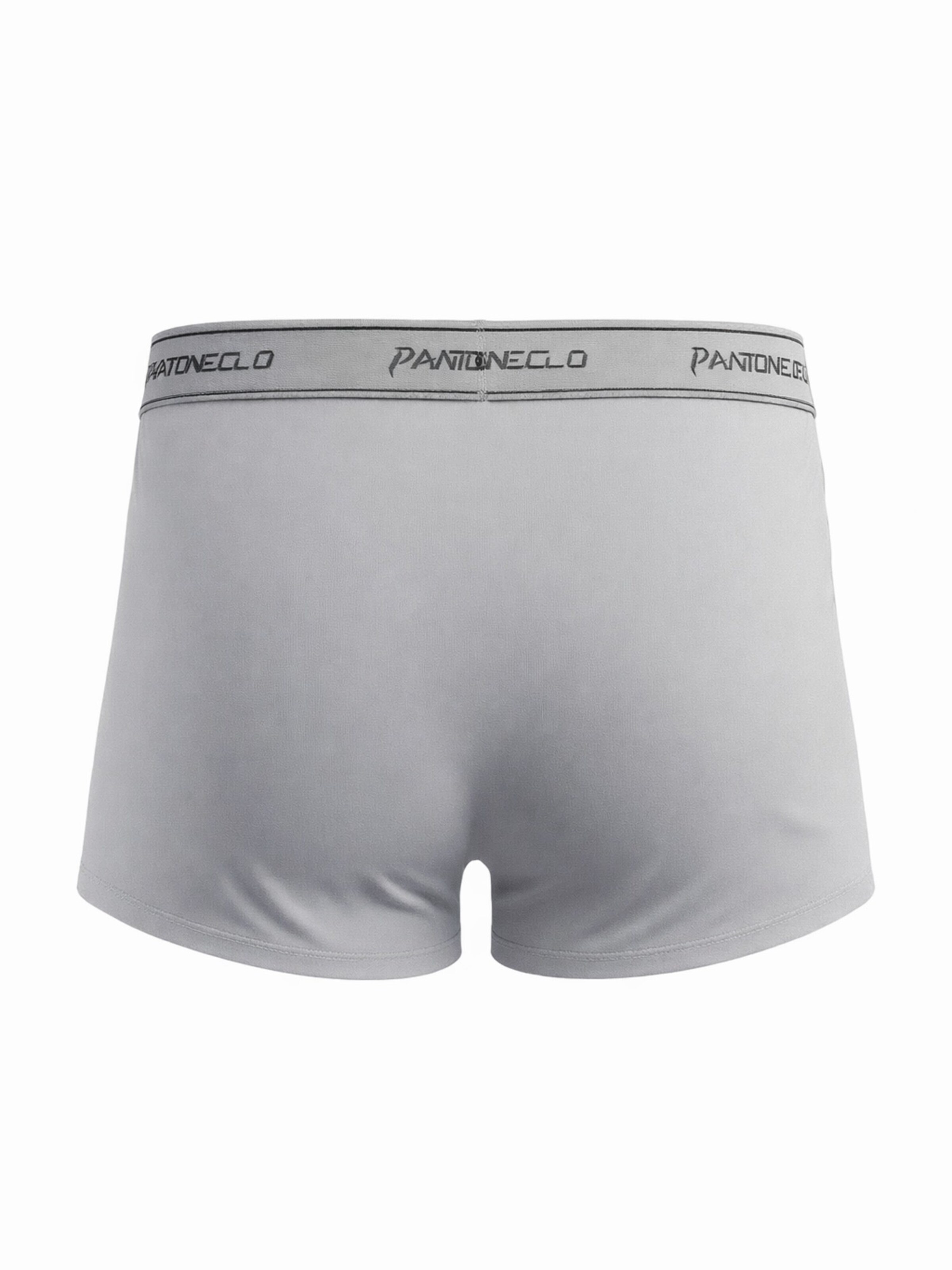 PANTONECLO - Calzoncillo boxer 'Pantoneclo Men’s Boxer Underwear' en gris