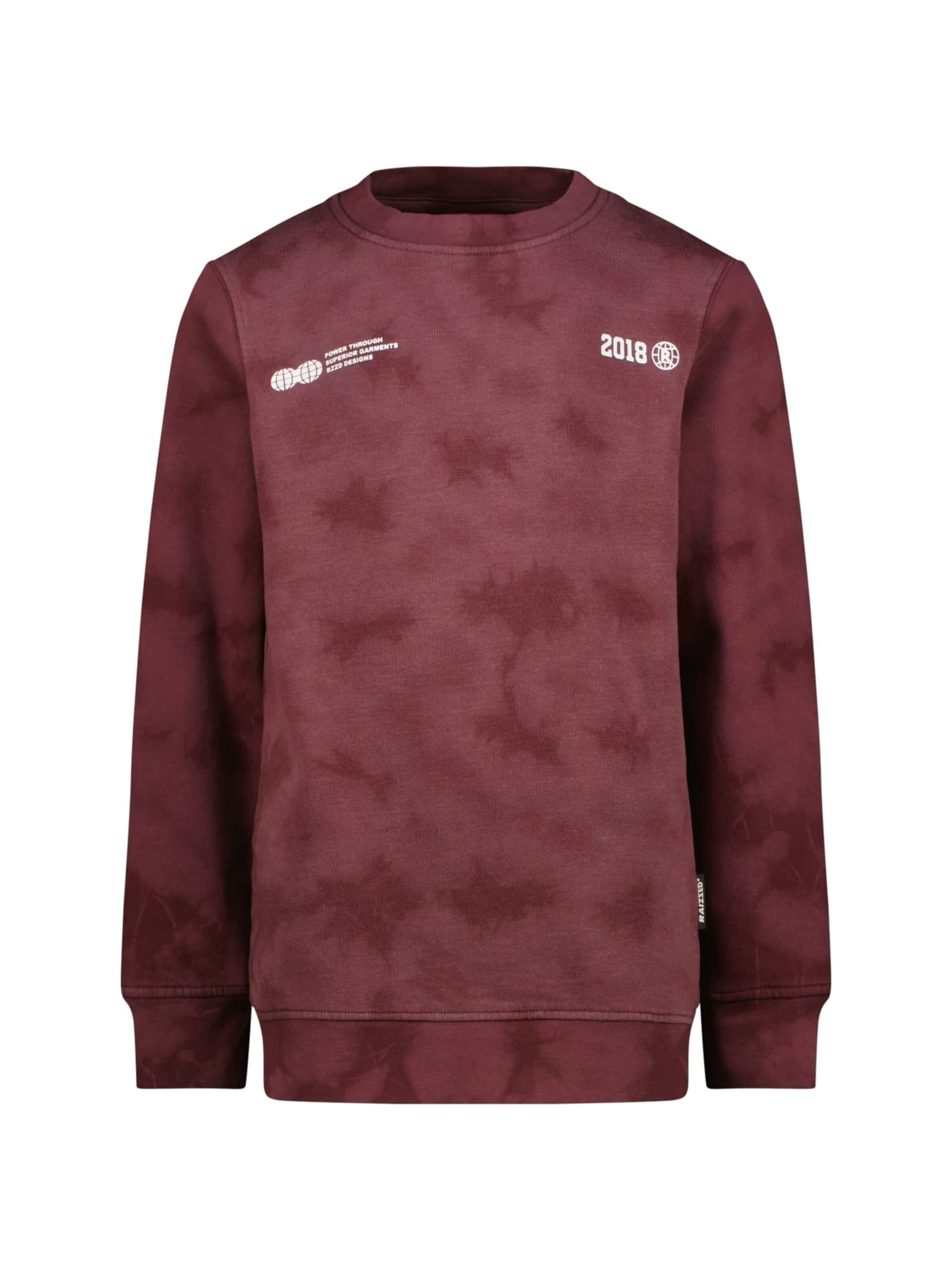 Raizzed Sweatshirt in Lila: voorkant