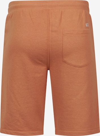 Petrol Industries Regular Shorts in Orange