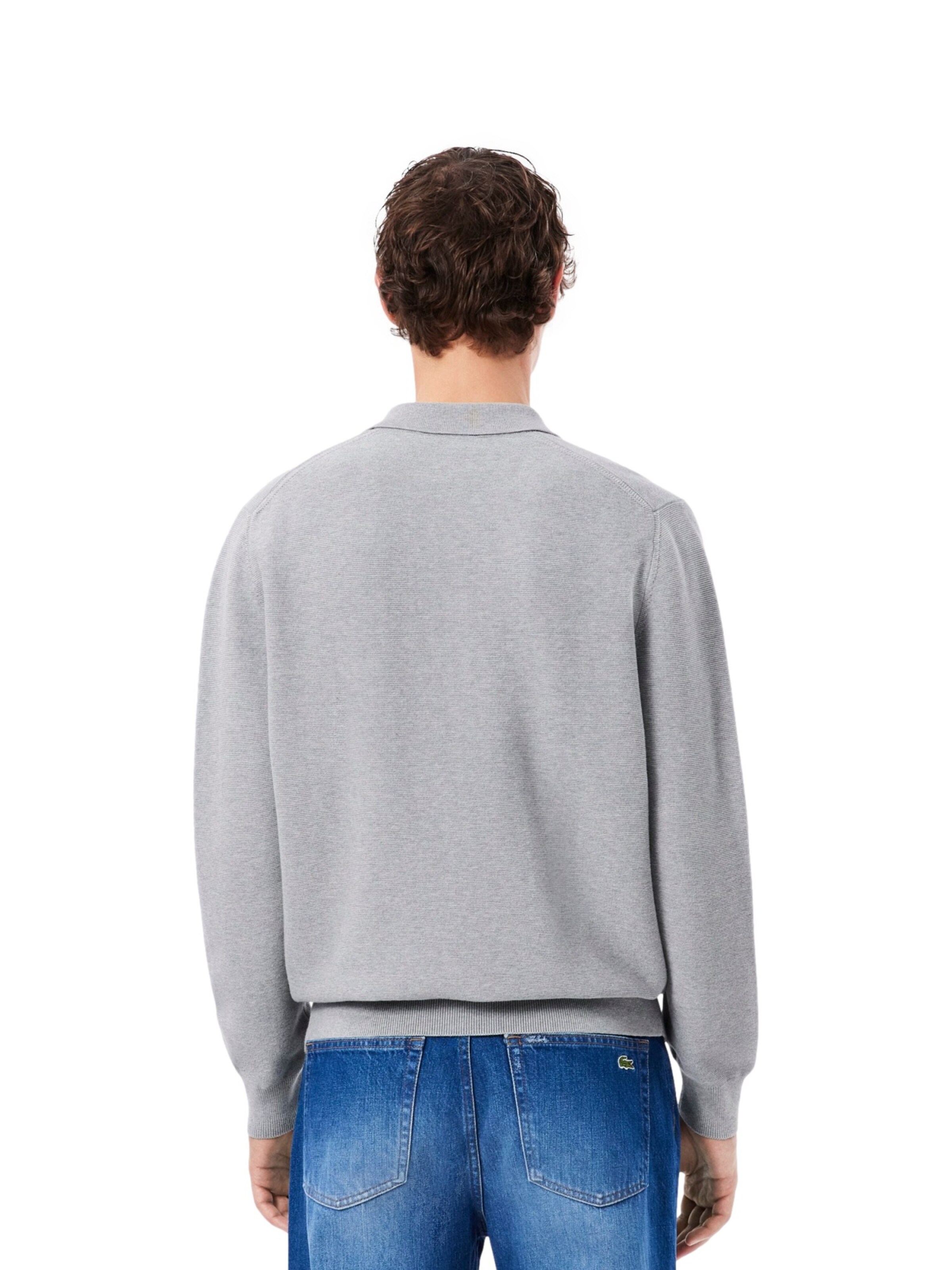 Pullover di LACOSTE in grigio