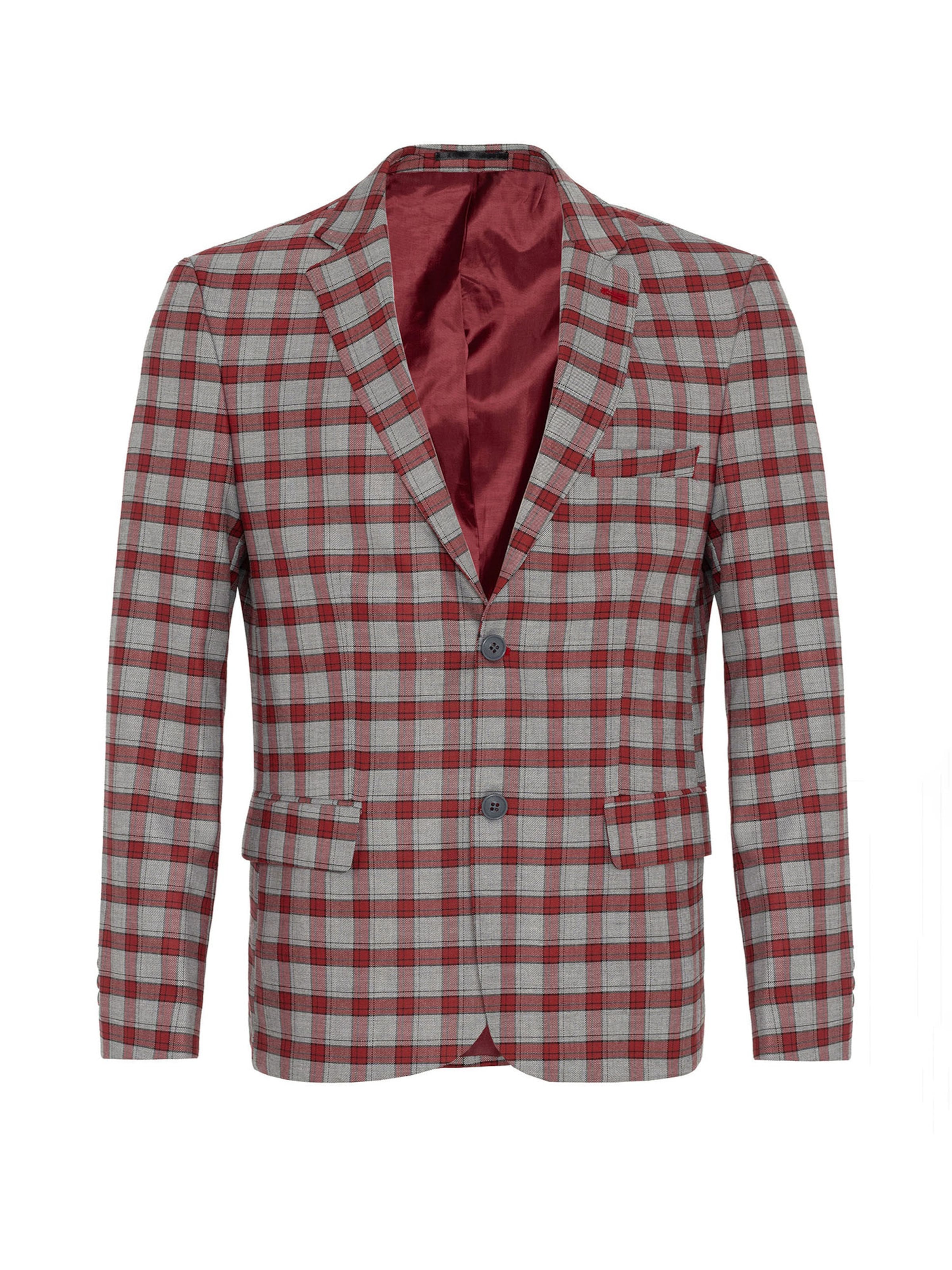 Daniel Hills Regular Fit Sakko in Mischfarben: Vorderseite