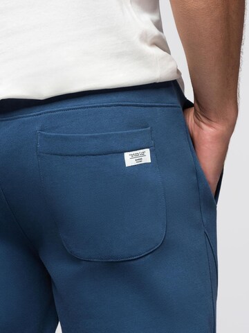 Ombre Tapered Trousers in Blue