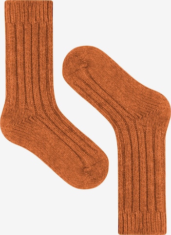normani Sokken in Oranje