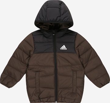 ADIDAS SPORTSWEAR Μπουφάν πεζοπορίας 'Padded Winter' σε πράσινο: μπροστά