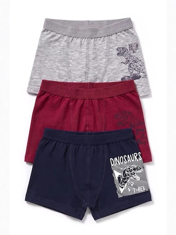 ÖTS Underpants 'ÖTS Herren-Boxershorts' in Mixed colours: front