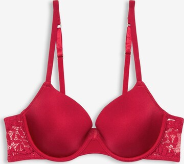 ESPRIT Push-up BH in Rot: predná strana