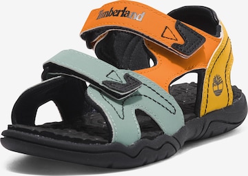 Calzatura aperta 'Adventure' di TIMBERLAND in colori misti: frontale