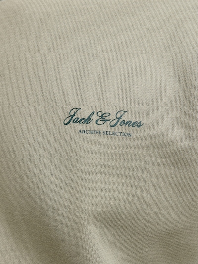 JACK & JONES Sweatshirt 'JJEARCHIVE' i S i pastelgrøn, Produktvisning
