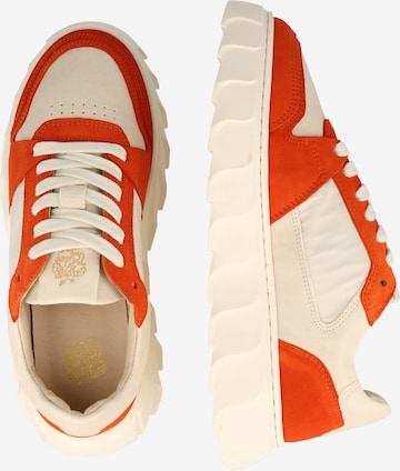 Apple of Eden Sneaker 'LONDON' in Orange
