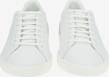 GEOX Sneakers in White