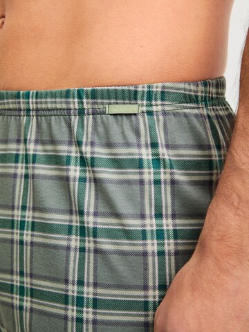 CALIDA Boxer shorts 'Prints' in Green