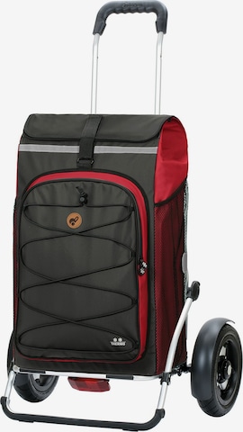 Valisette 'Plus Fado 2.0' Andersen Shopper en rouge : devant