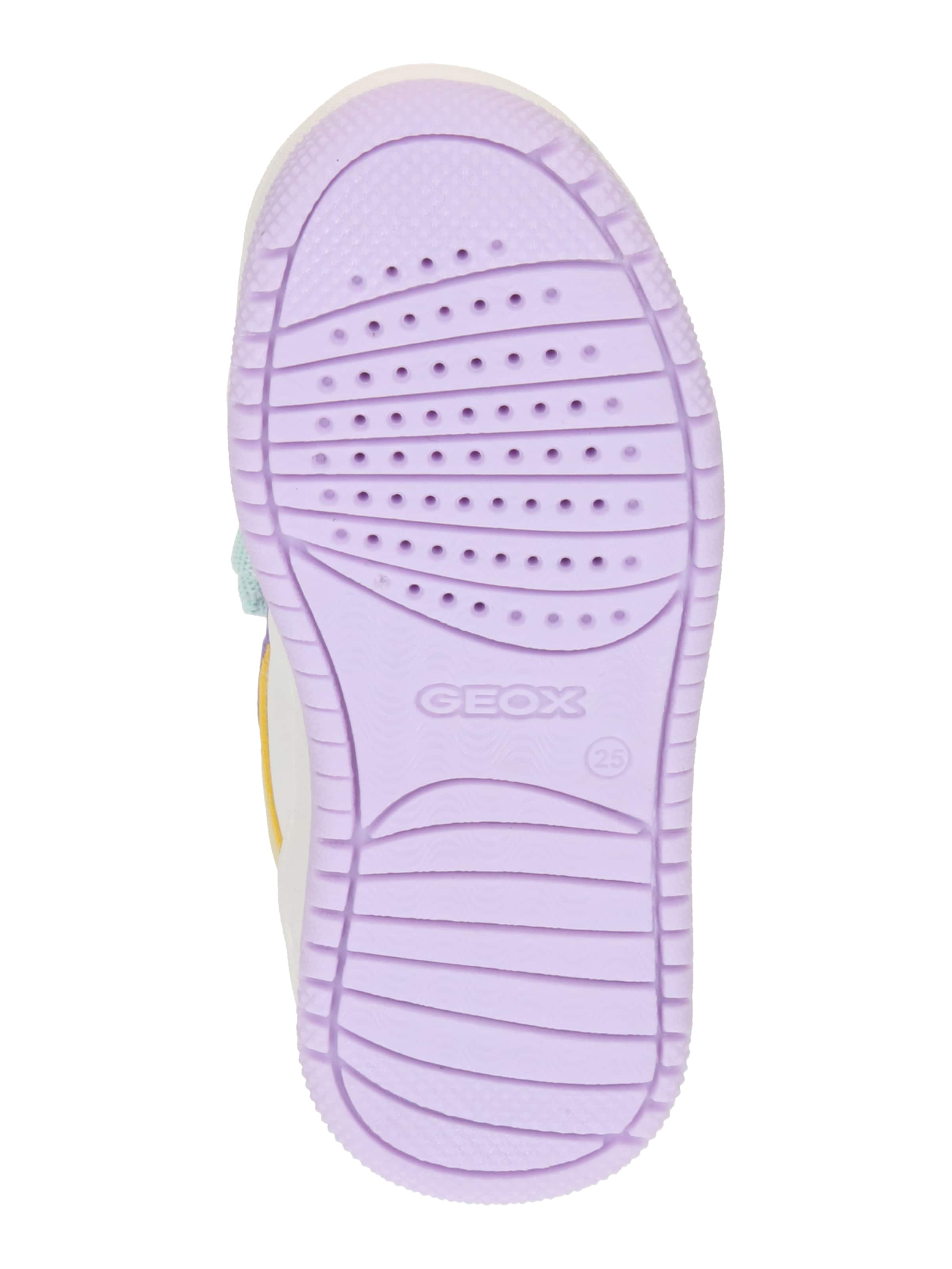 GEOX Кроссовки 'Washiba' в Лиловый