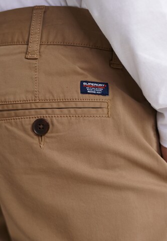 Superdry Regular Chino in Bruin