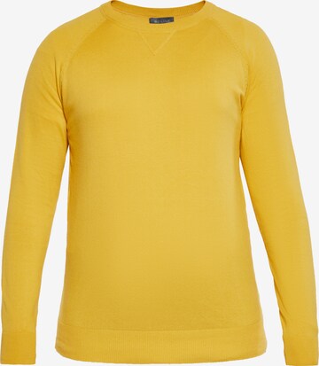 Pull-over boline en jaune : devant