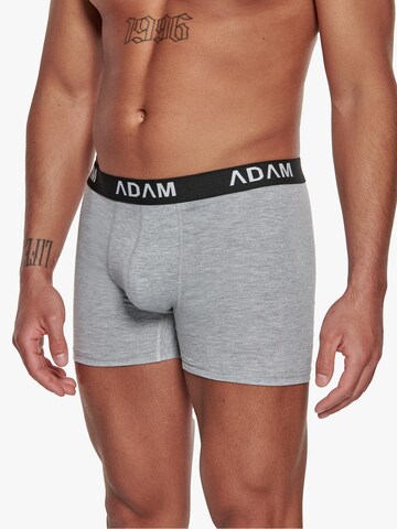 Adam Boxershorts '3er Pack'‌ in Grau