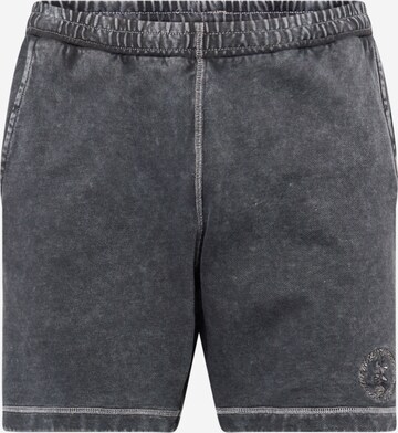 Vertere Berlin Regular Shorts in Grau: predná strana