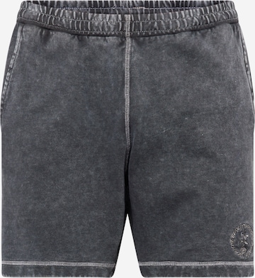 Regular Pantalon Vertere Berlin en gris : devant