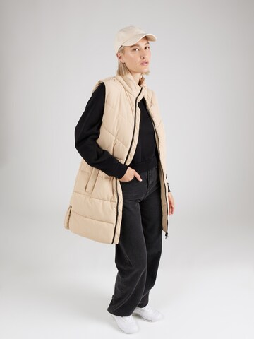 Noisy may Bodywarmer 'DALCON' in Beige