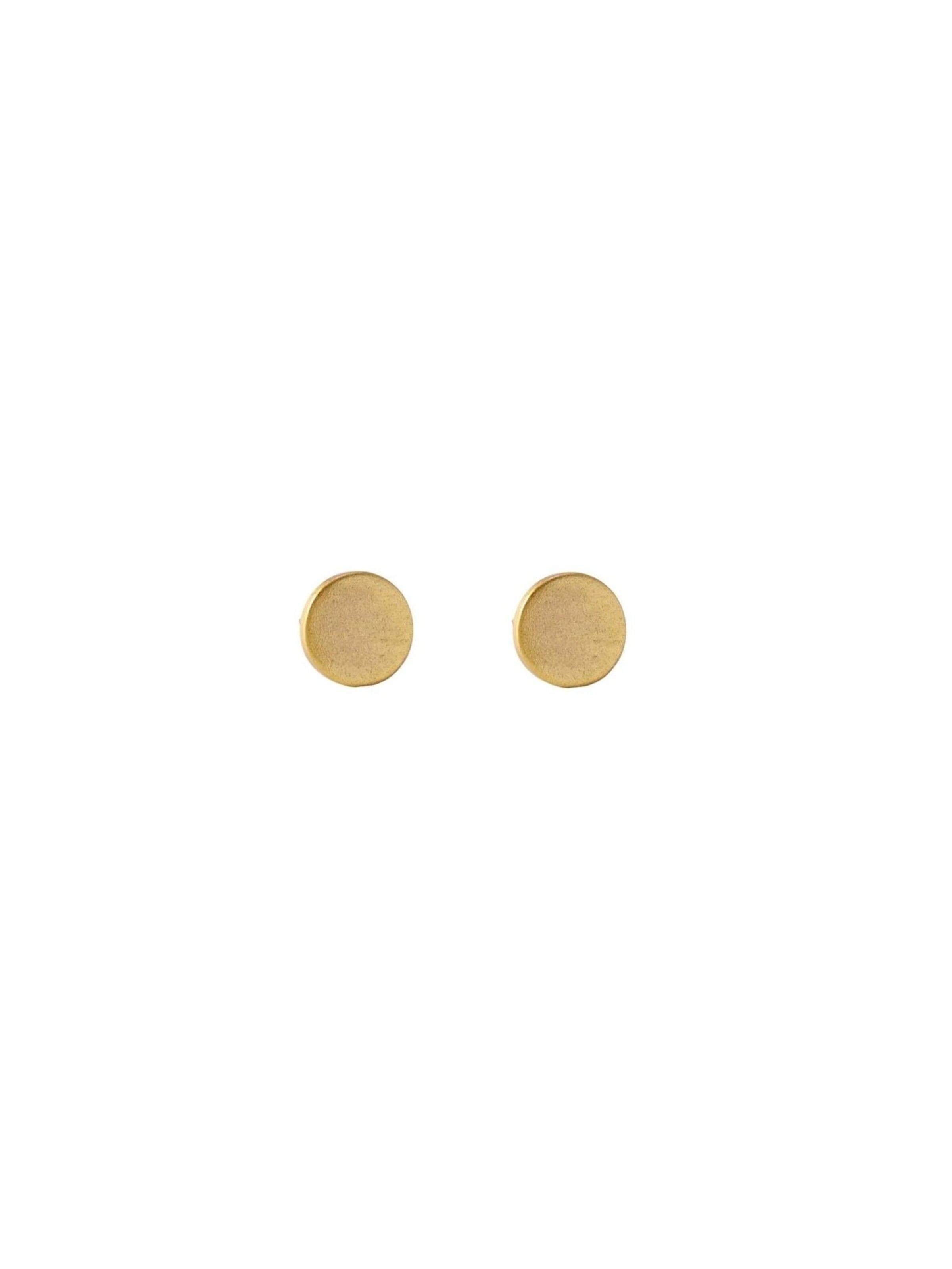 DNSK Copenhagen Øreringe 'TYRA Waterproof 18K Gold Plated Post Earrings – Sanded Stainless Steel' i guld