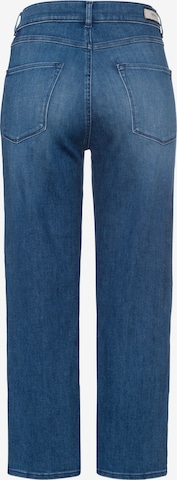 BRAX Regular Jeans 'Maple' in Blau: zadná strana
