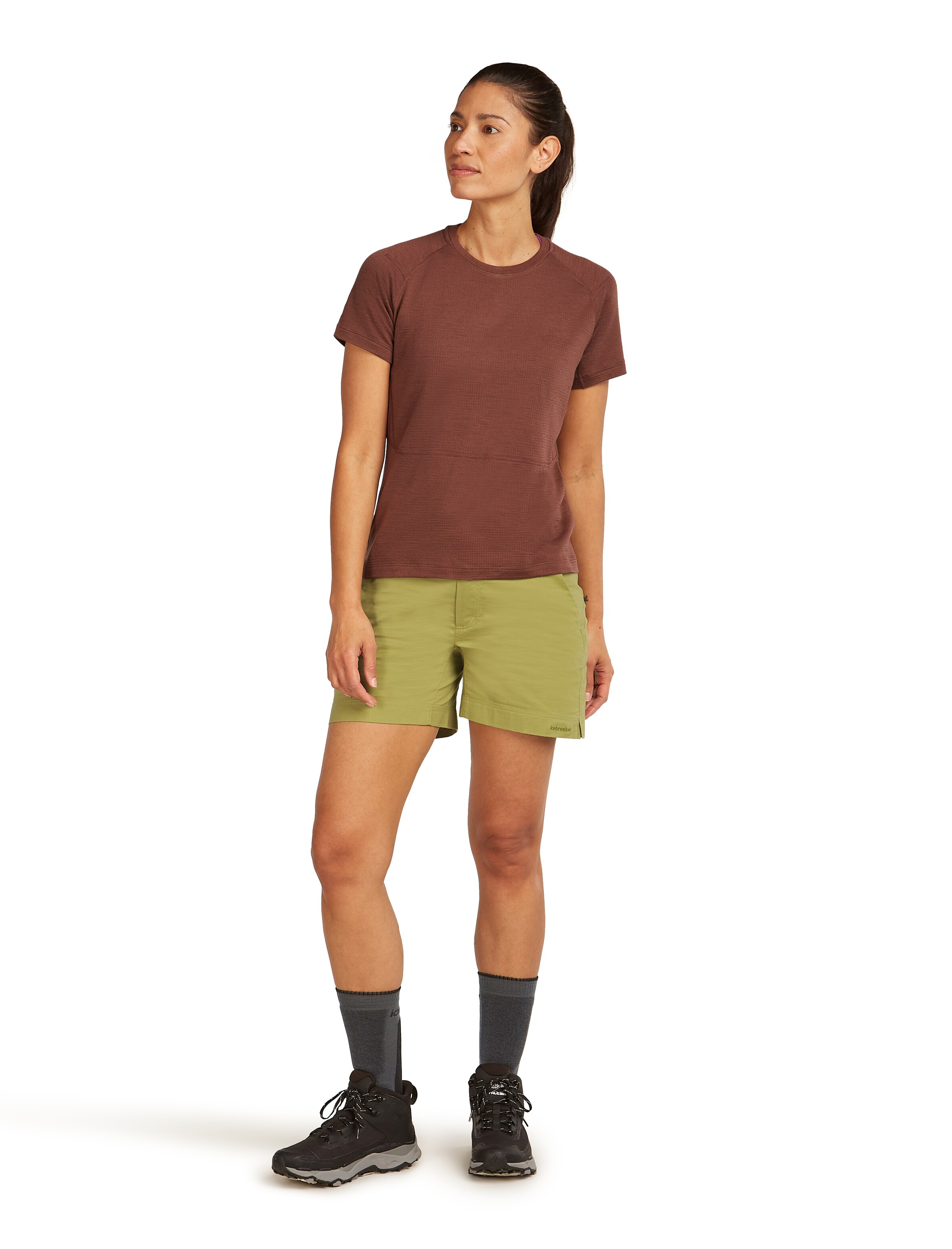 ICEBREAKER Performance shirt 'Elevation' in Brown