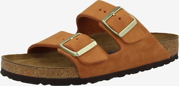 BIRKENSTOCK Pantofle 'Arizona' – hnědá: přední strana