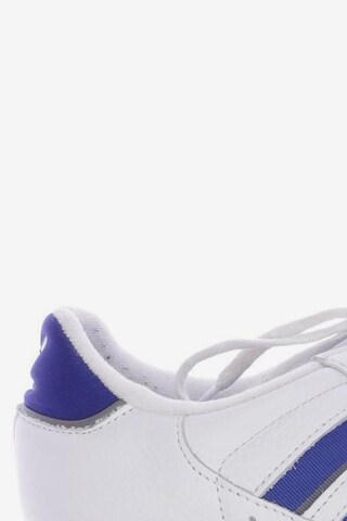 ADIDAS ORIGINALS Sneakers & Trainers in 42 in White