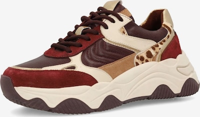 SACHA Sneaker in schoko / hellbraun / rot / offwhite, Produktansicht
