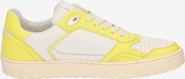SIOUX Sneakers 'Tedroso' in Yellow