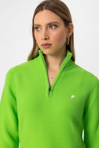 DENIM CULTURE Pulover 'DINA' | zelena barva