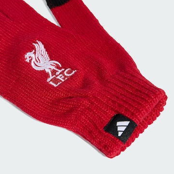 ADIDAS PERFORMANCE Sporthandschoenen 'FC Liverpool' in Rood