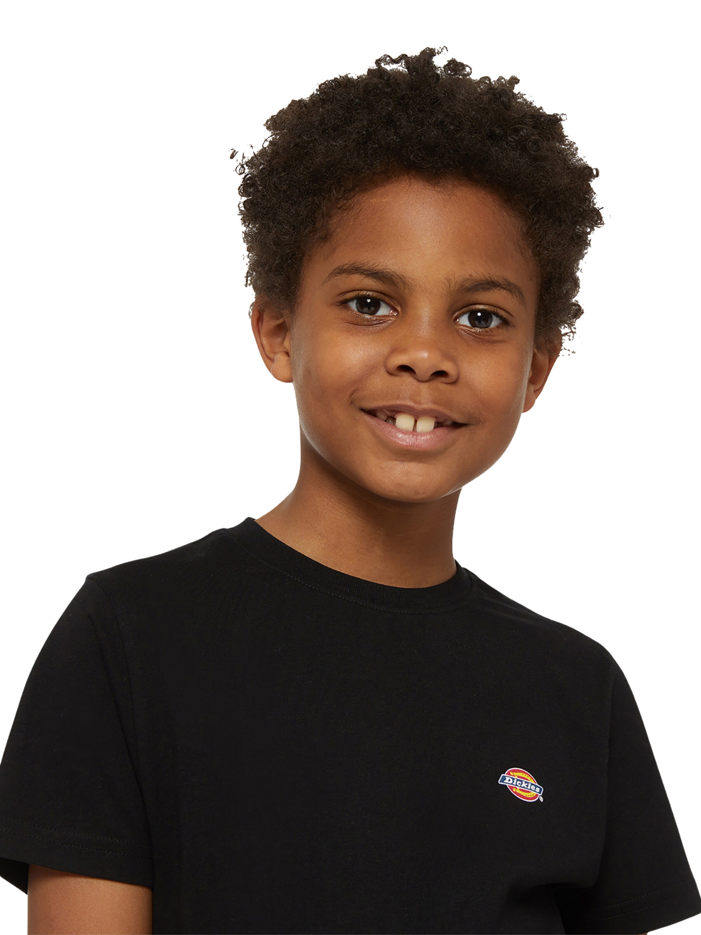 DICKIES Shirts 'Mapleton' i sort