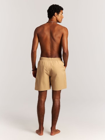 PROTEST Board Shorts 'PRTBaky' in Brown