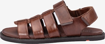 Sandales 'Emory' LLOYD en marron : devant
