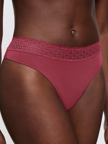 TRIUMPH - Tanga ' Feel of Modal ' en rojo