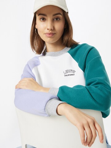 LEVI'S ® Sweatshirt 'Vintage Raglan Crewneck Sweatshirt' in Mischfarben