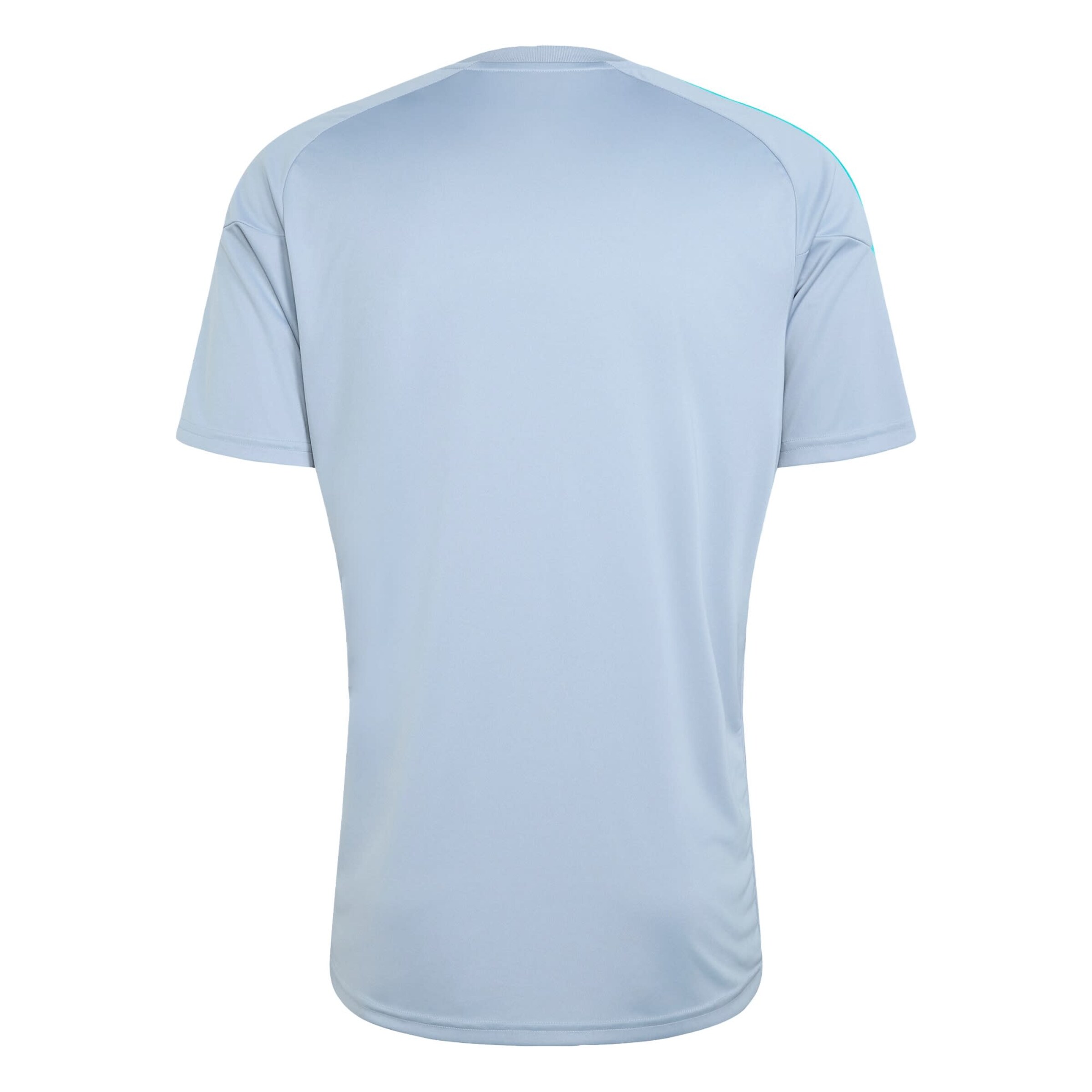 ADIDAS PERFORMANCE Trikot 'Tiro 26 Essentials' in Grau